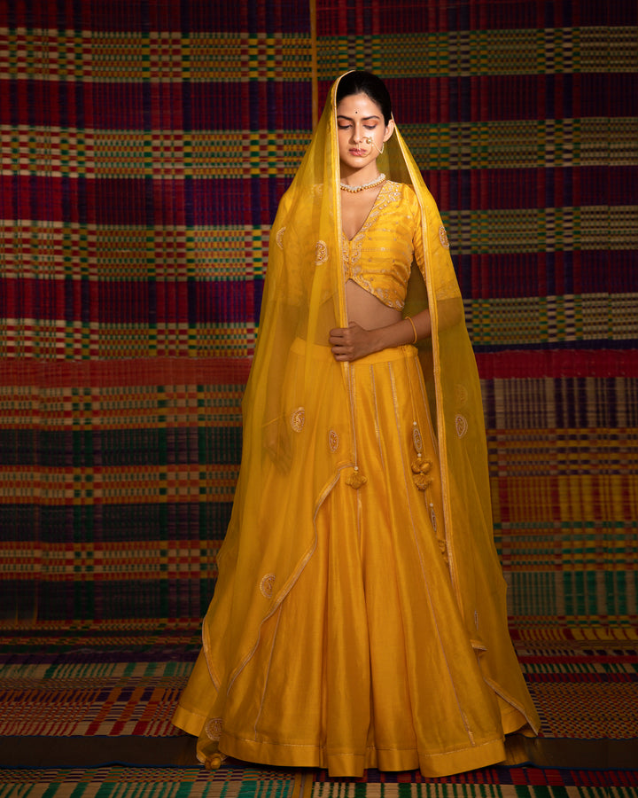 haldi hand embroidered kalli lehenga set