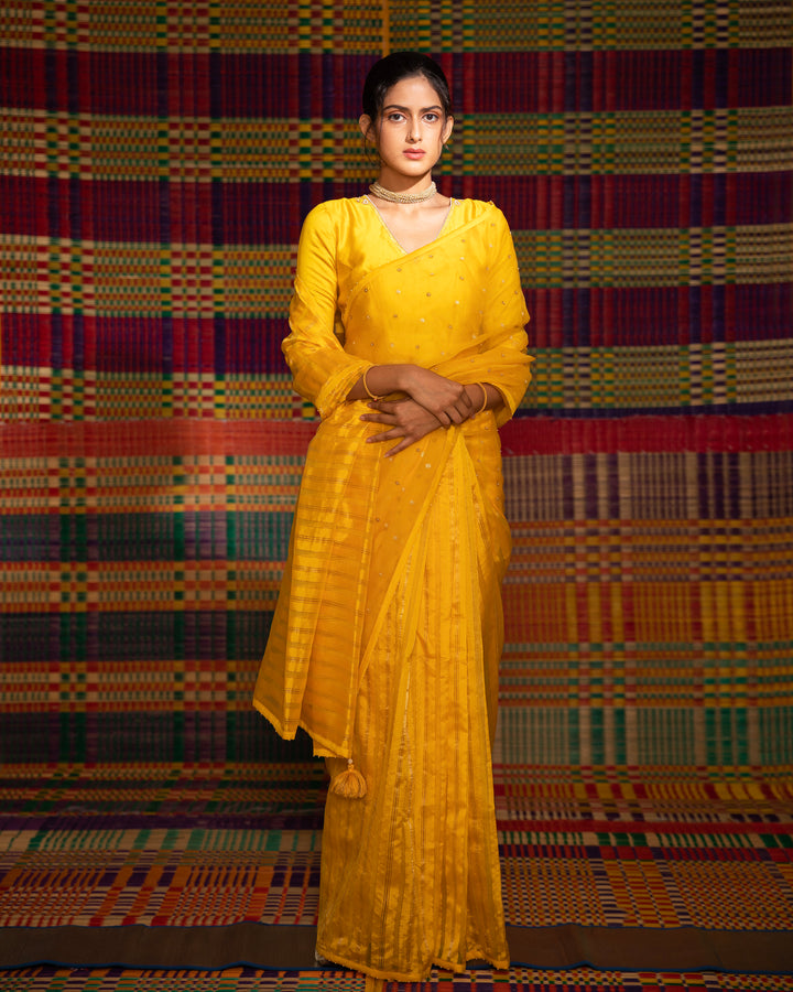 haldi half and half striped hand embroidered saree with blouse