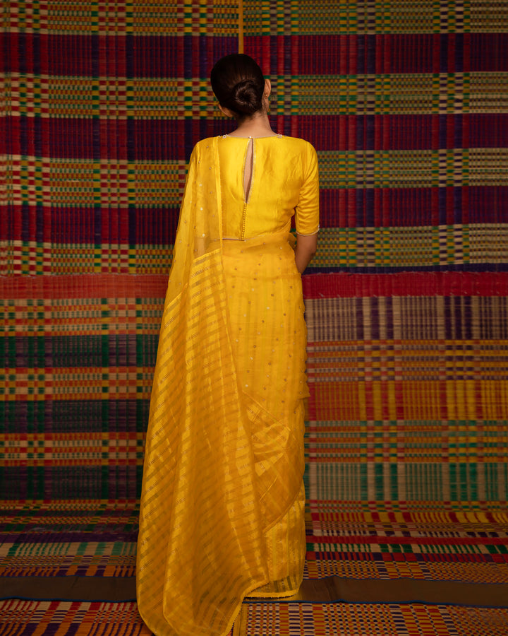 haldi half and half striped hand embroidered saree with blouse