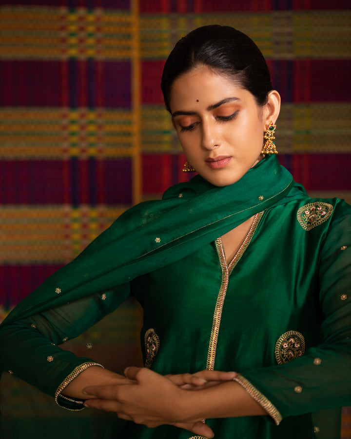 haritah hand embroidered kalli gusset kurta