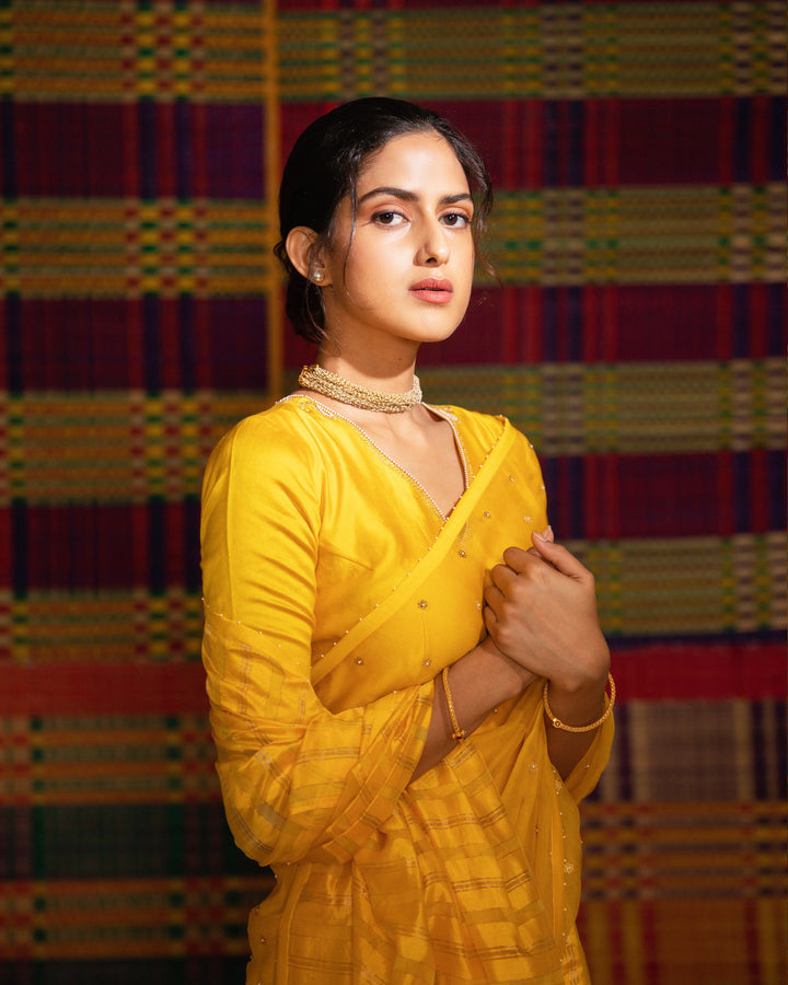 haldi half and half striped hand embroidered saree with blouse