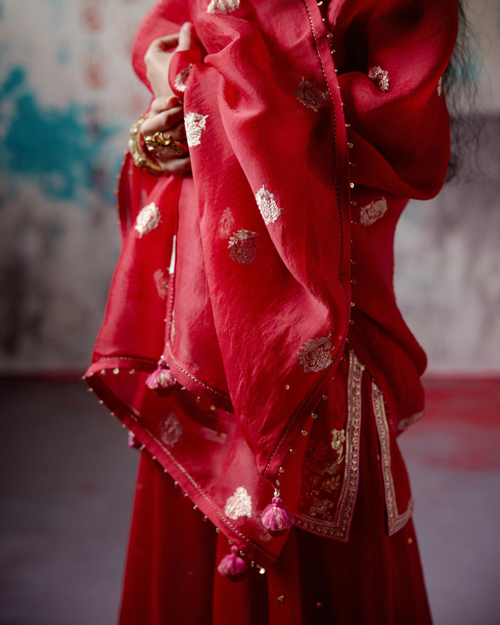red short kurta sharara set