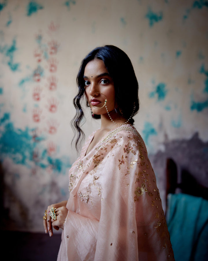 soft peach jaal embroidered saree with blouse