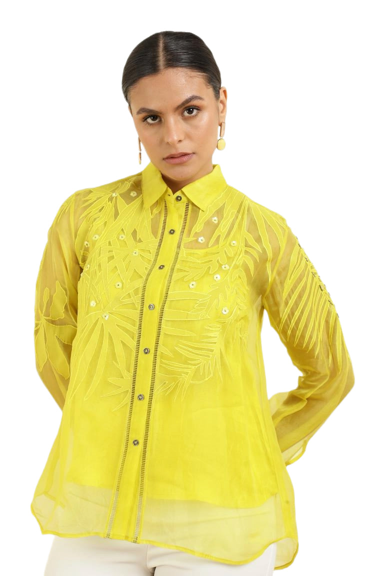 Women’s Sheer Organza Front Open Collar green Shirt