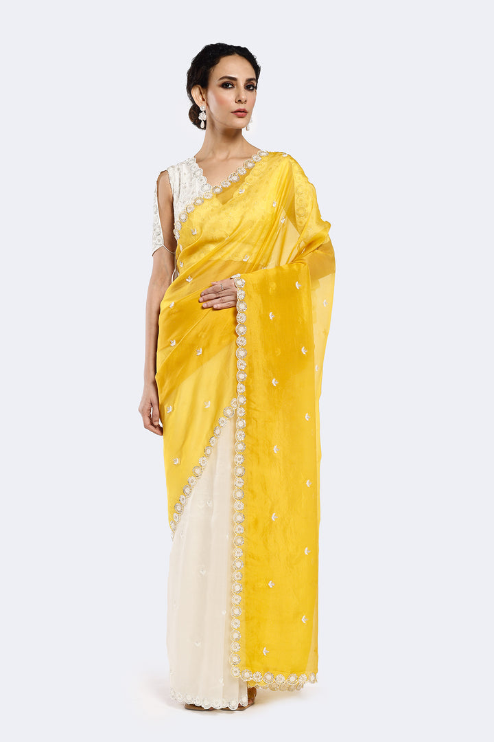 Cutout Organza Saree