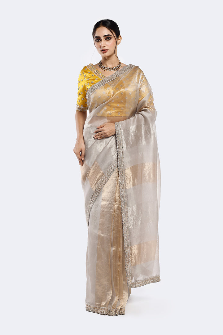 Subtly Panelled Tissue Saree