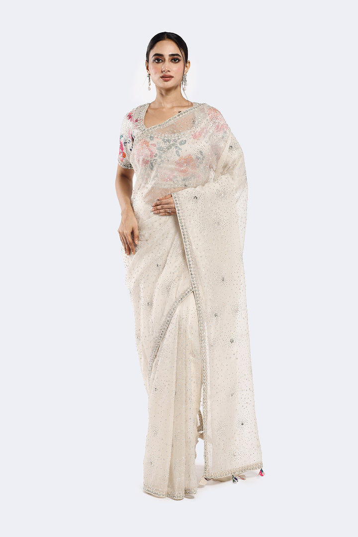 Floral Sequinned Organza Saree