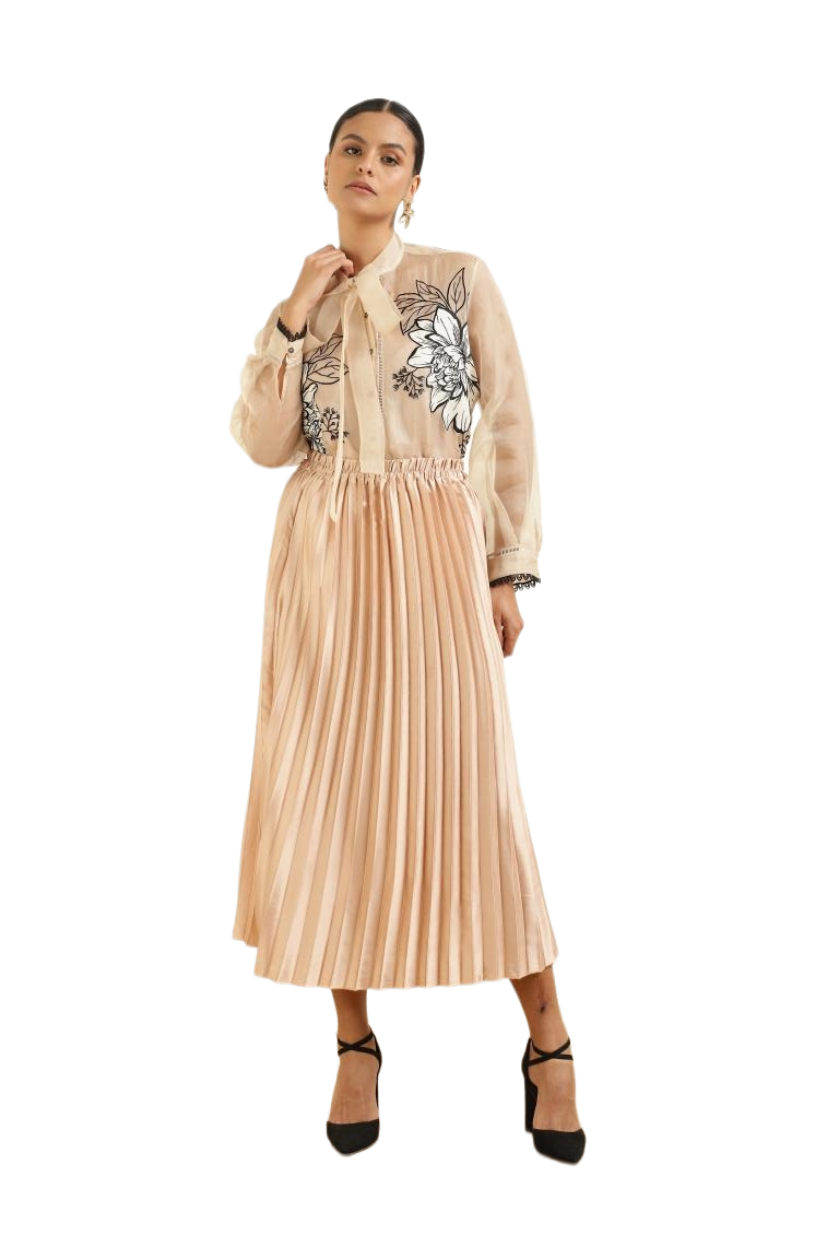 Women’s Sheer Organza Front Open Tie-Neck Champagne Shirt