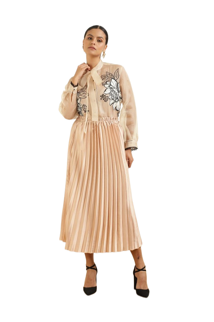 Women’s Sheer Organza Front Open Tie-Neck Champagne Shirt