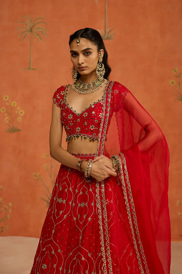 Suhana Lehenga Set