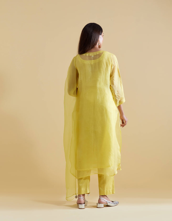 Lemon 3D Floral Kurta and Pants Set