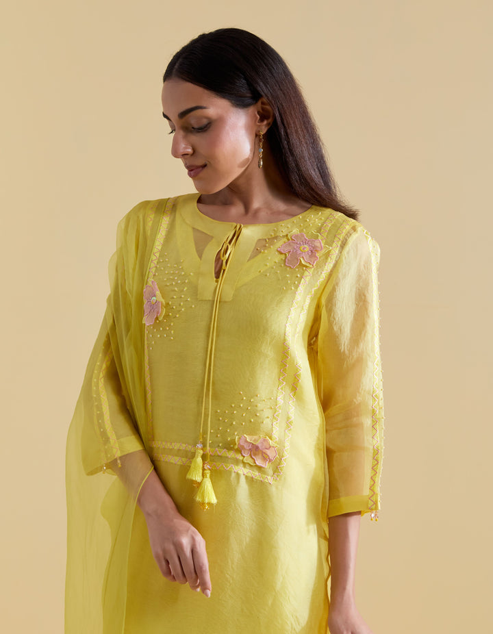 Lemon 3D Floral Kurta and Pants Set