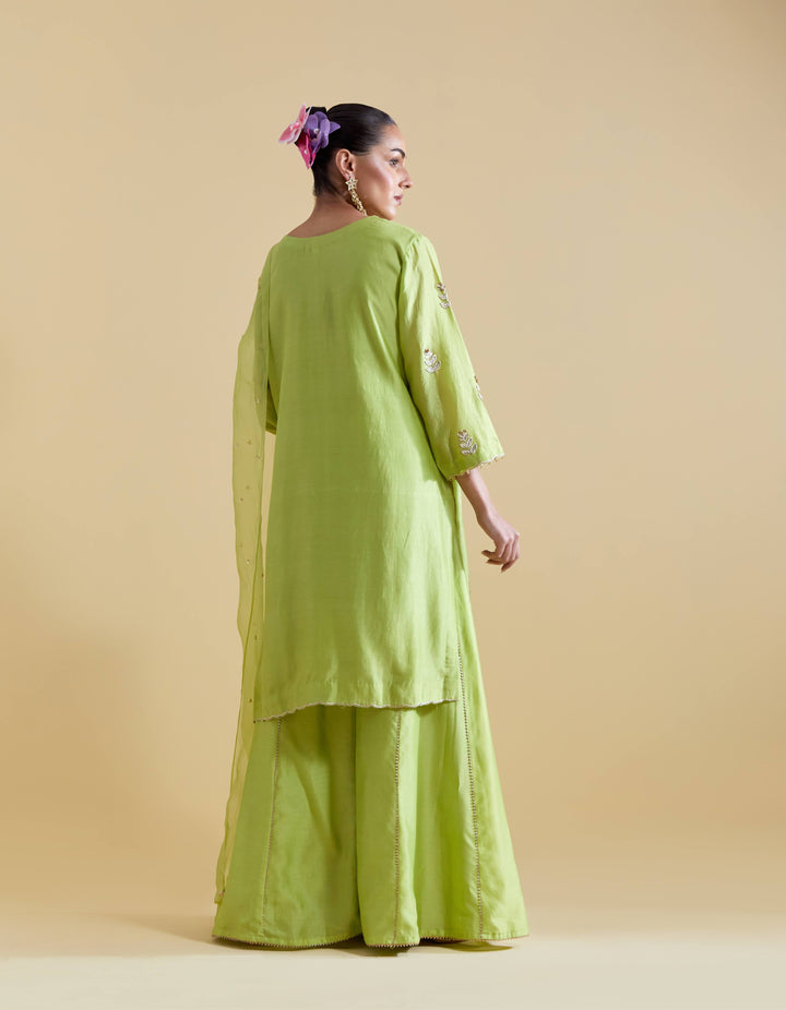 Pista Green Hand Embroidered Kurta and Sharara Set