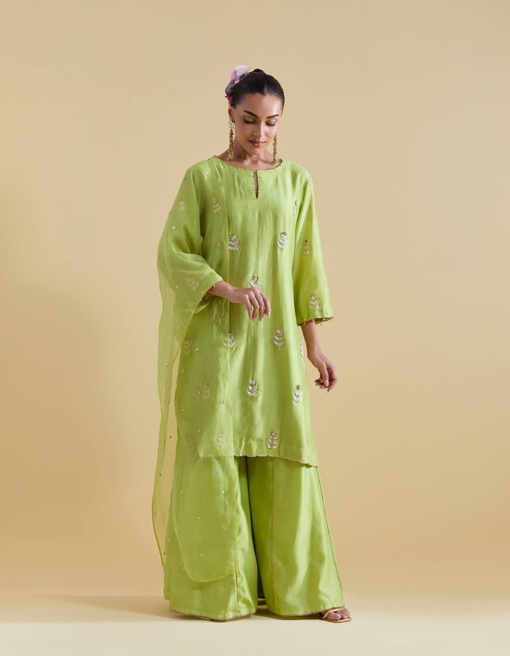 Pista Green Hand Embroidered Kurta and Sharara Set