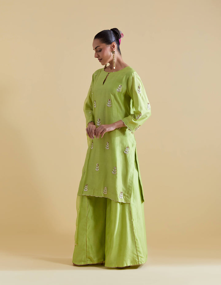 Pista Green Hand Embroidered Kurta and Sharara Set