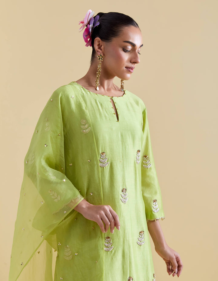 Pista Green Hand Embroidered Kurta and Sharara Set