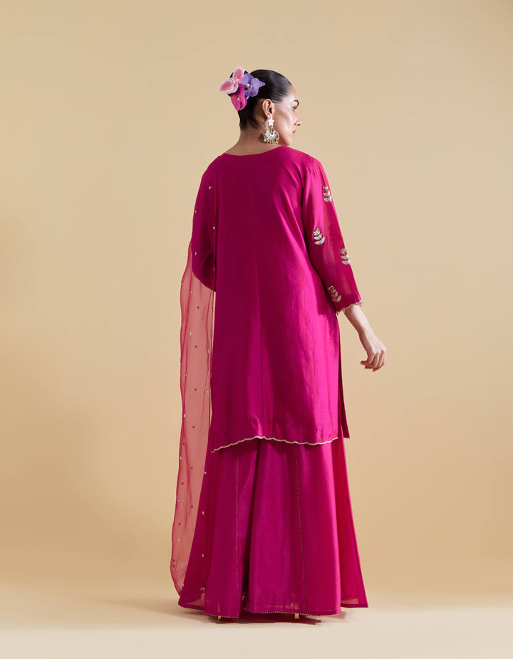 Rani Hand Embroidered Kurta and Sharara Set