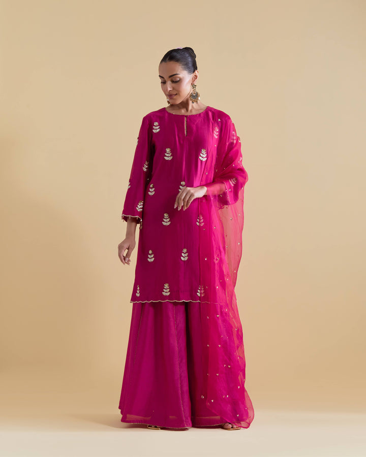 Rani Hand Embroidered Kurta and Sharara Set