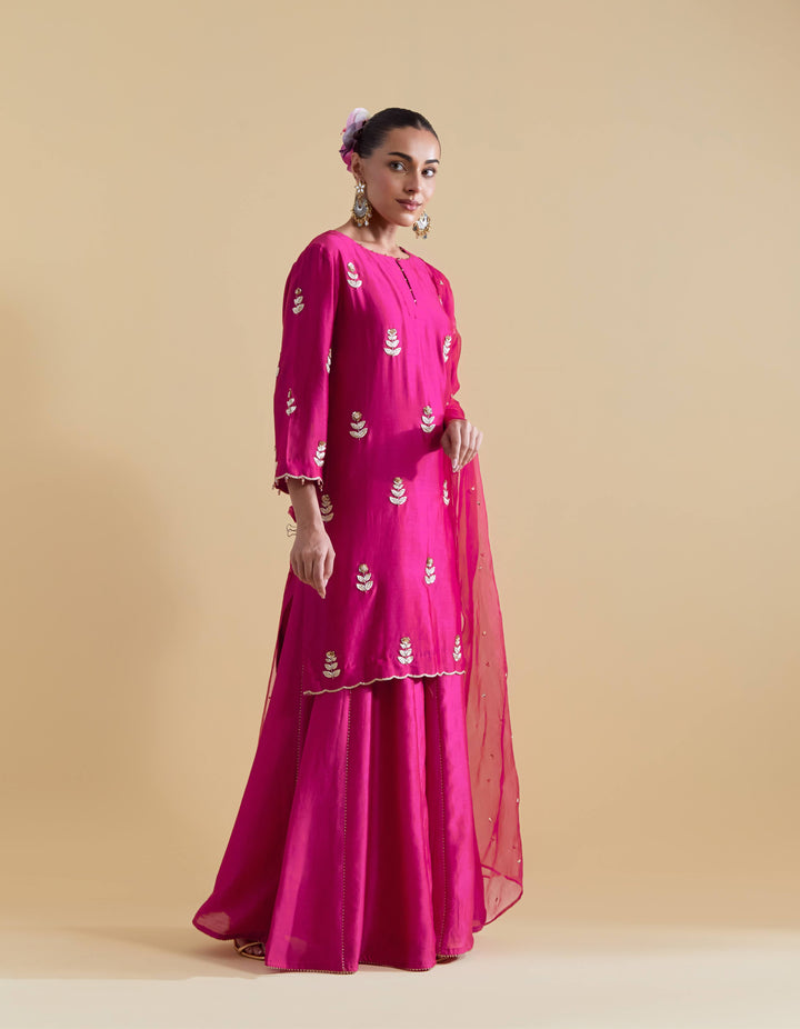 Rani Hand Embroidered Kurta and Sharara Set