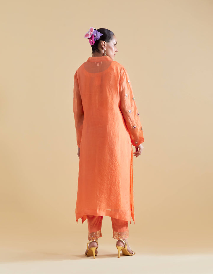 Hand Embroidered Kurta Set in Orange