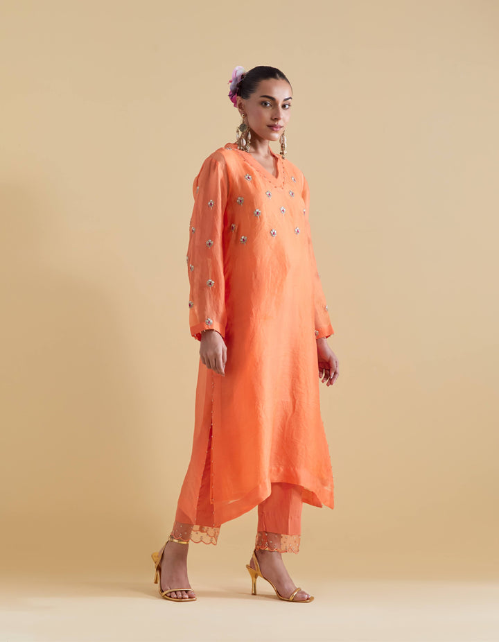 Hand Embroidered Kurta Set in Orange