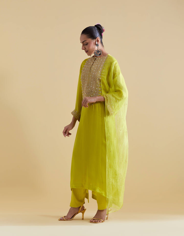 Pista Green Kurta Set with Dori Embroidery