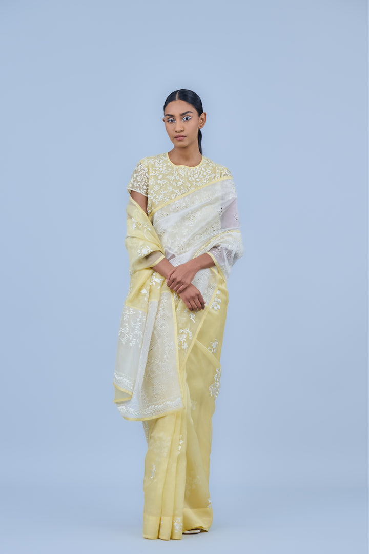 panelled sun ecru saree