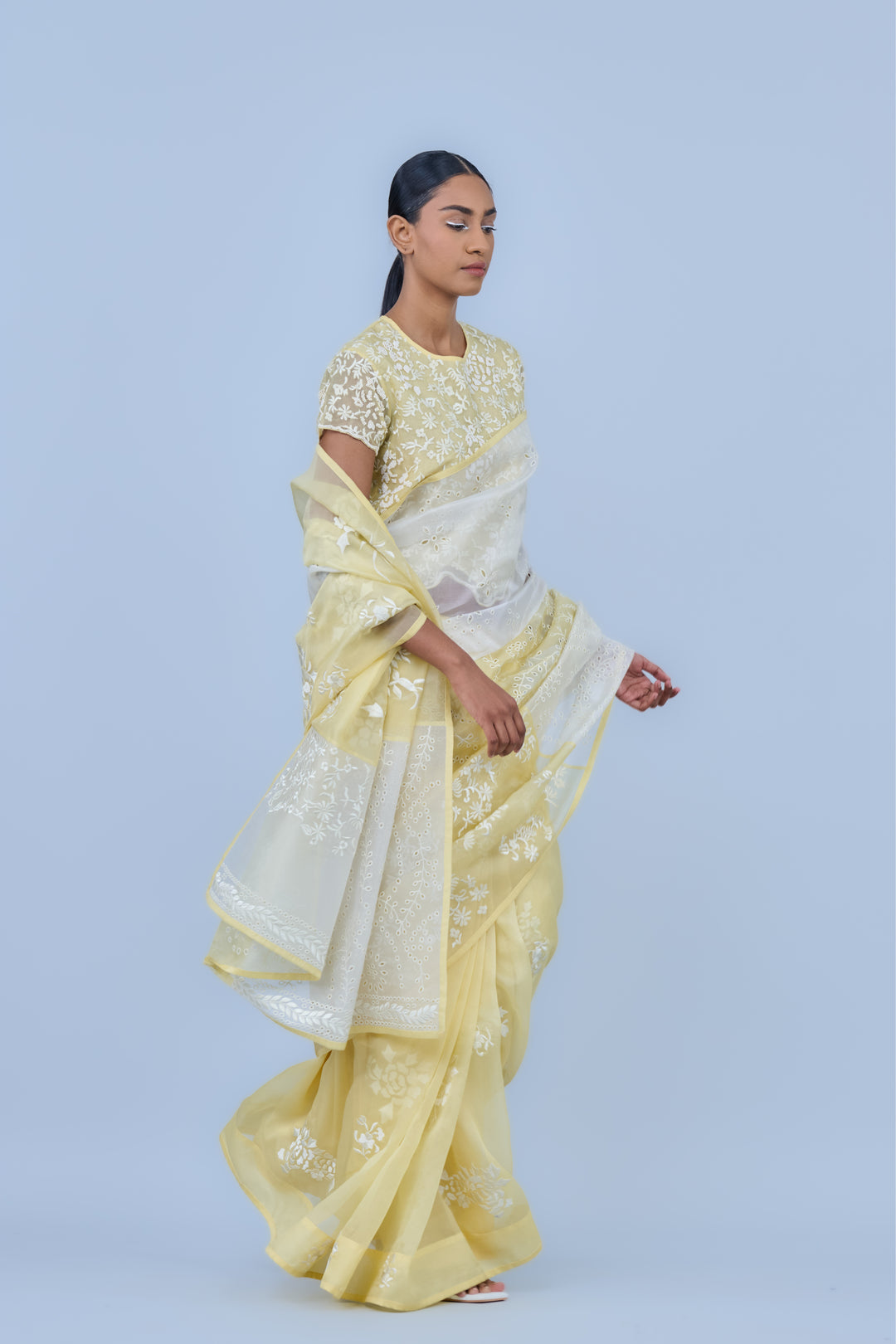 panelled sun ecru saree