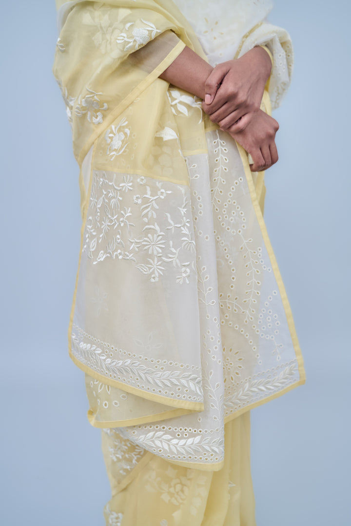 panelled sun ecru saree