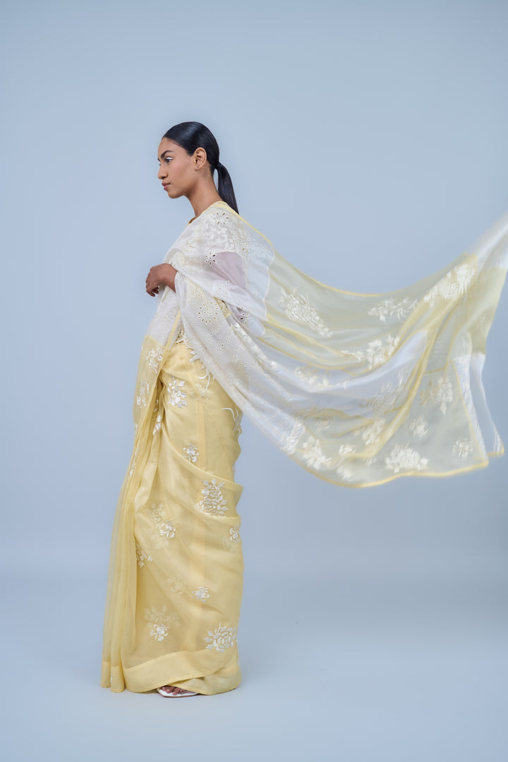 panelled sun ecru saree