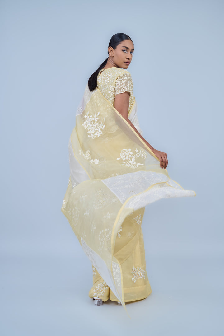 panelled sun ecru saree