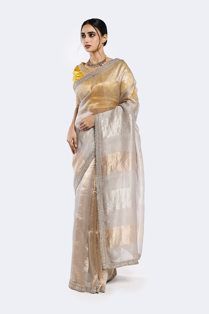 Subtly Panelled Tissue Saree