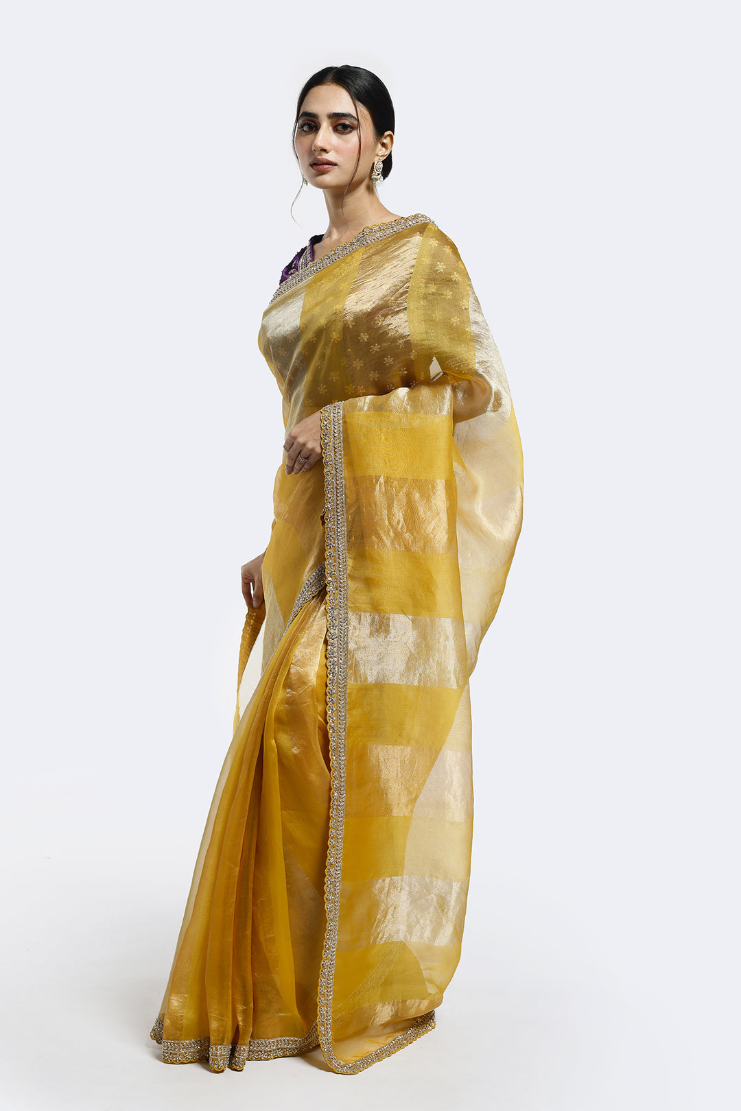 Subtly Panelled Tissue Saree