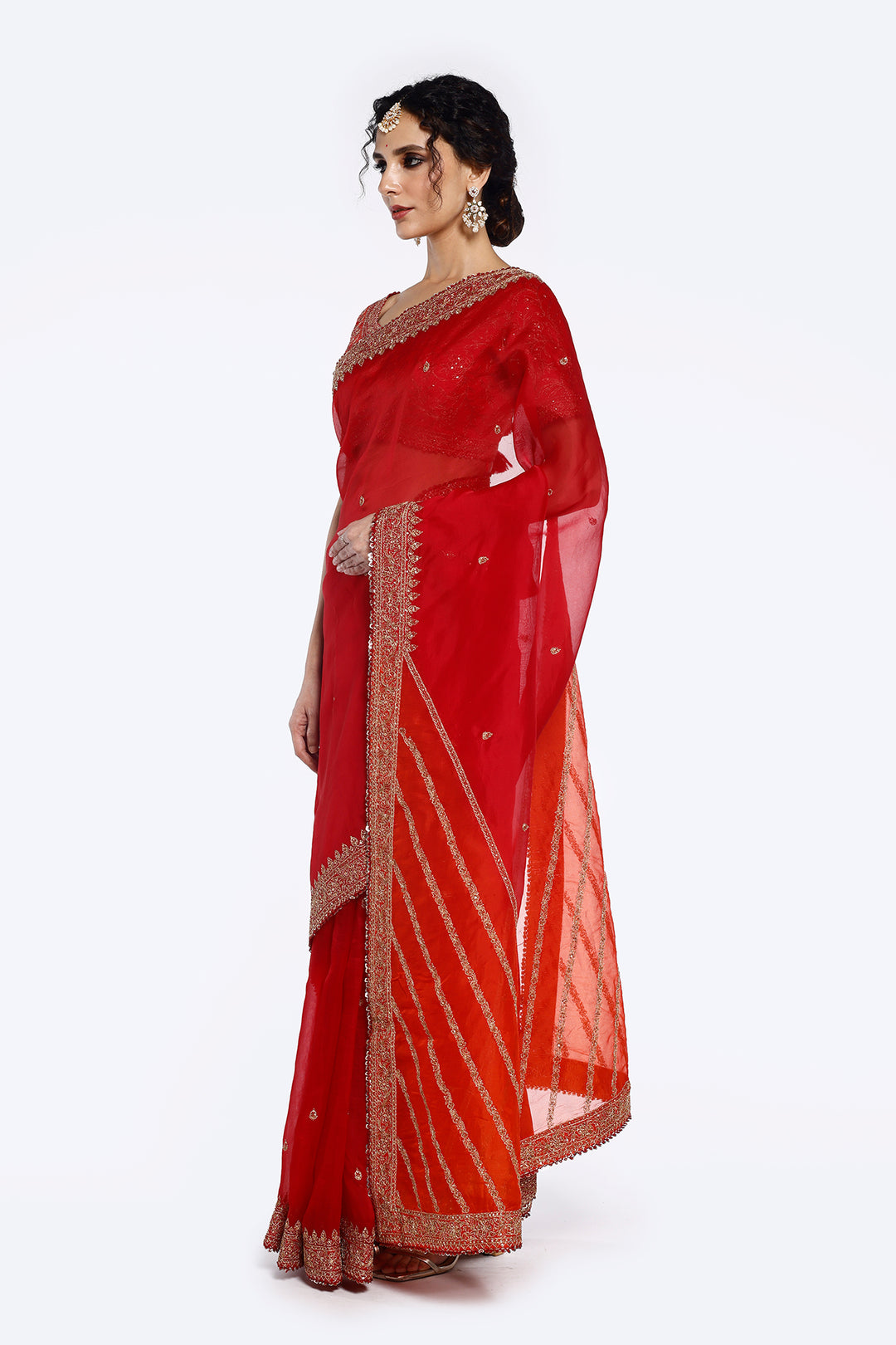 Sequinned Organza Saree