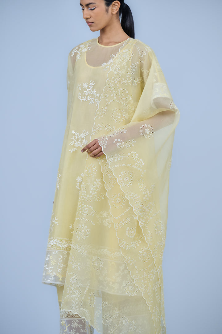 sun scalloped dupatta