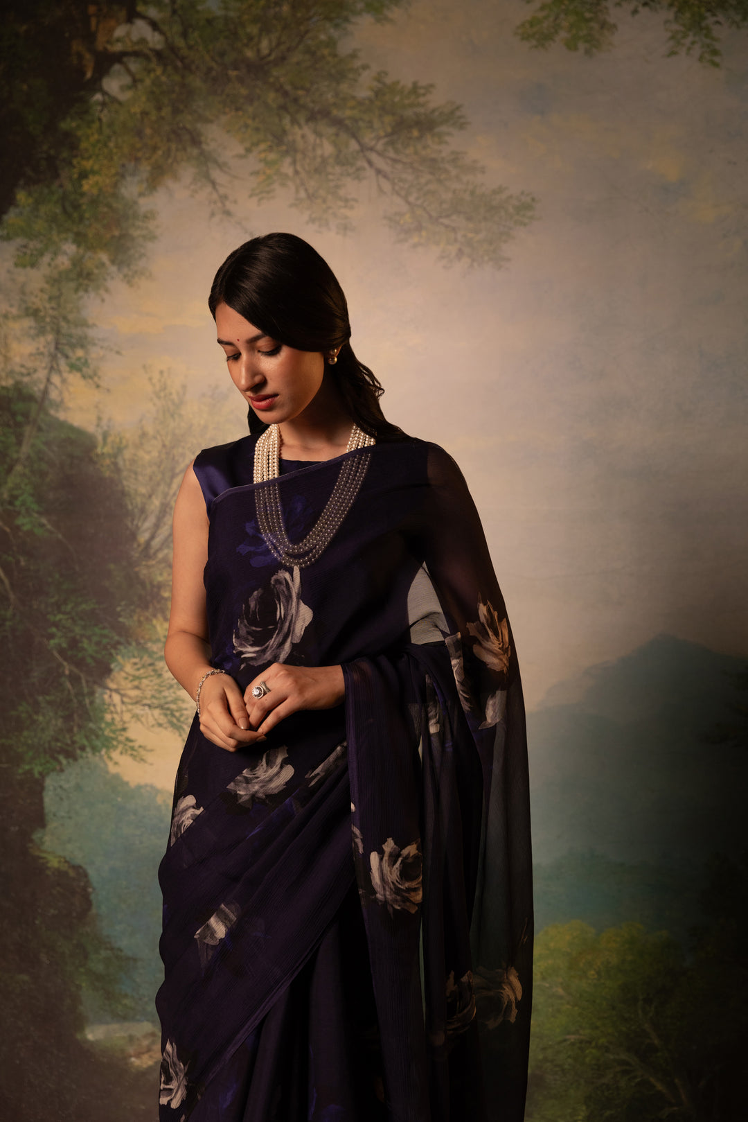 regime printed french chiffon saree