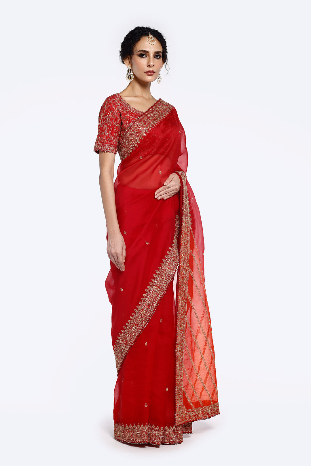 Sequinned Organza Saree