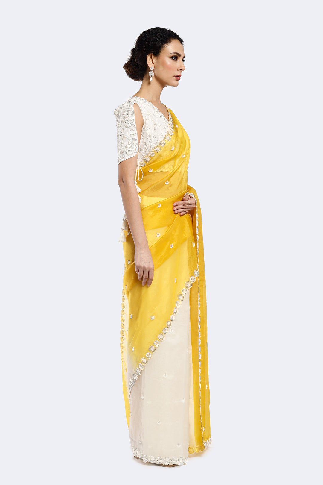 Cutout Organza Saree