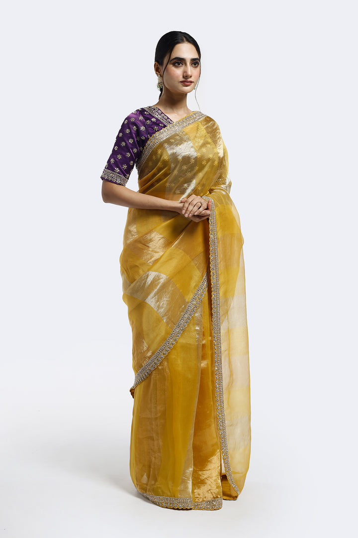 Subtly Panelled Tissue Saree