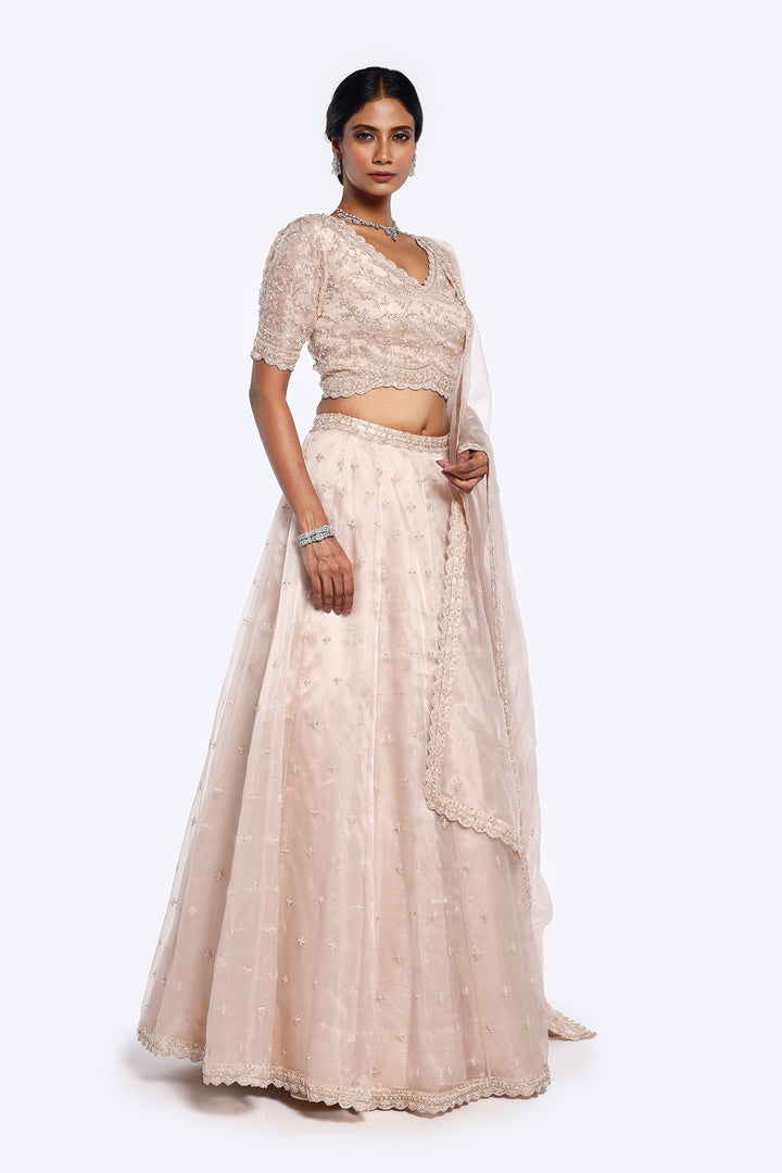 Organza Zari Lehenga Set