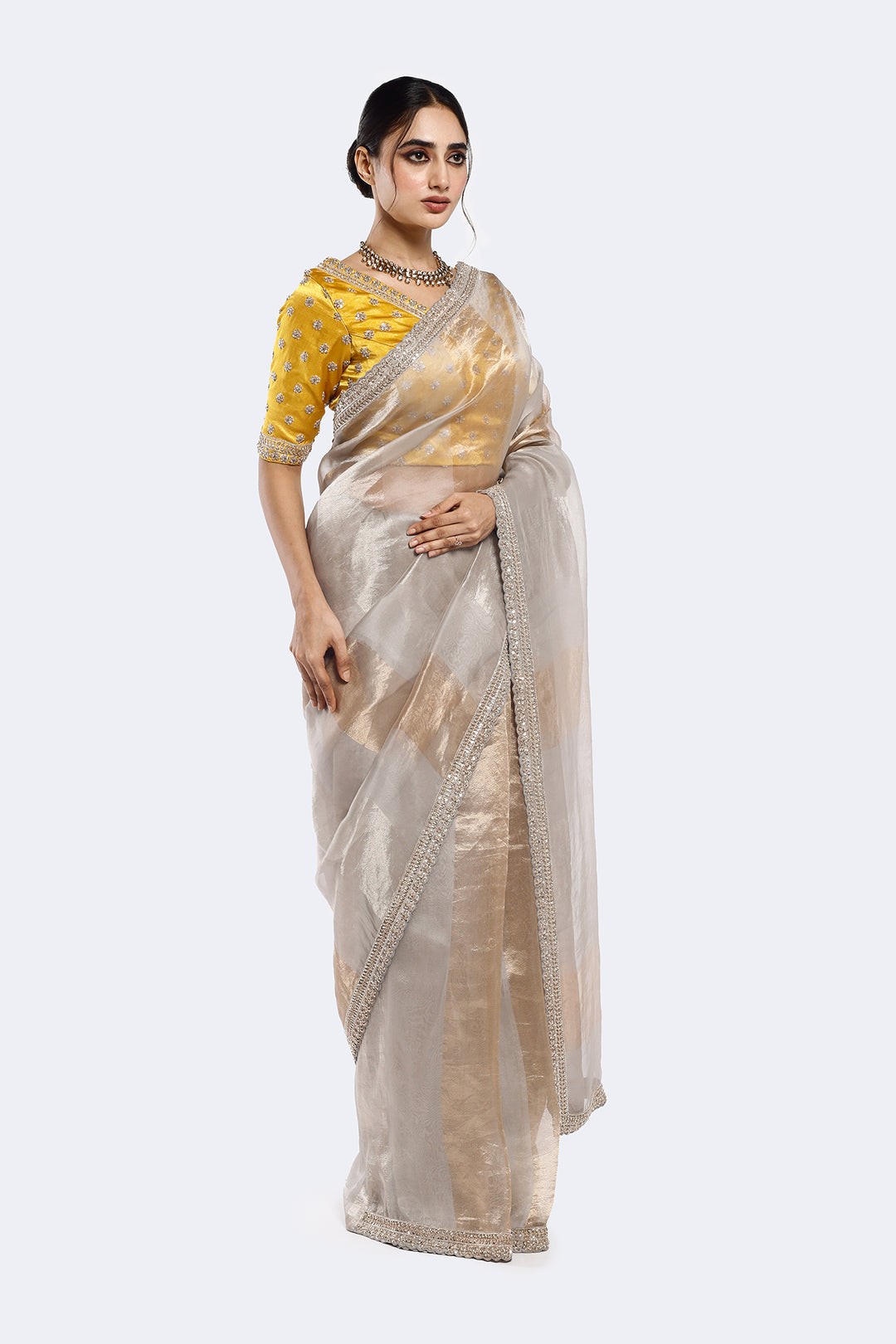 Subtly Panelled Tissue Saree