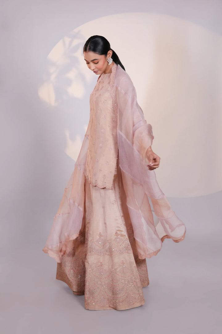 Peach Tissue Kurta Set