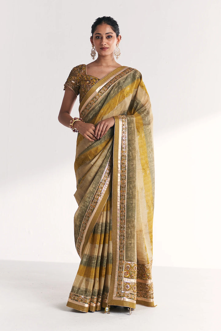 Woman wearing a traditional saree with a white background