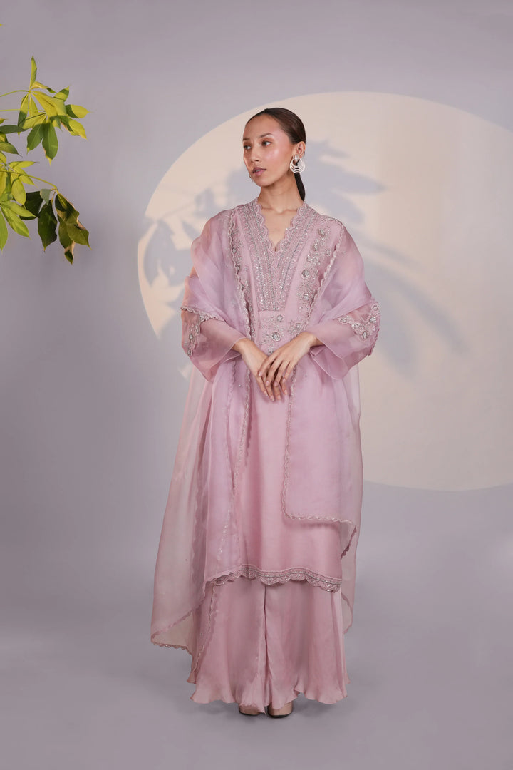 Pink Organza Kurta