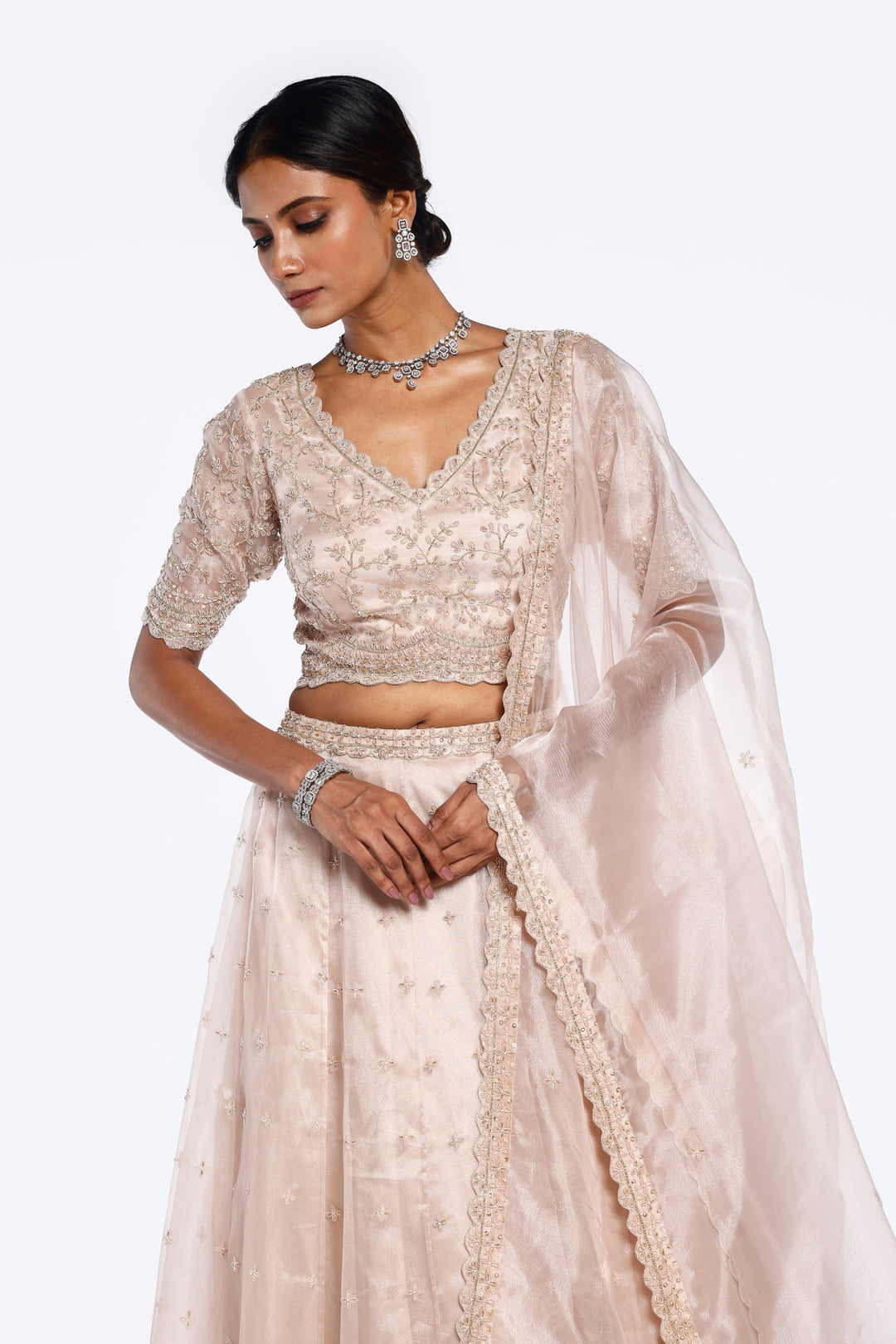 Organza Zari Lehenga Set