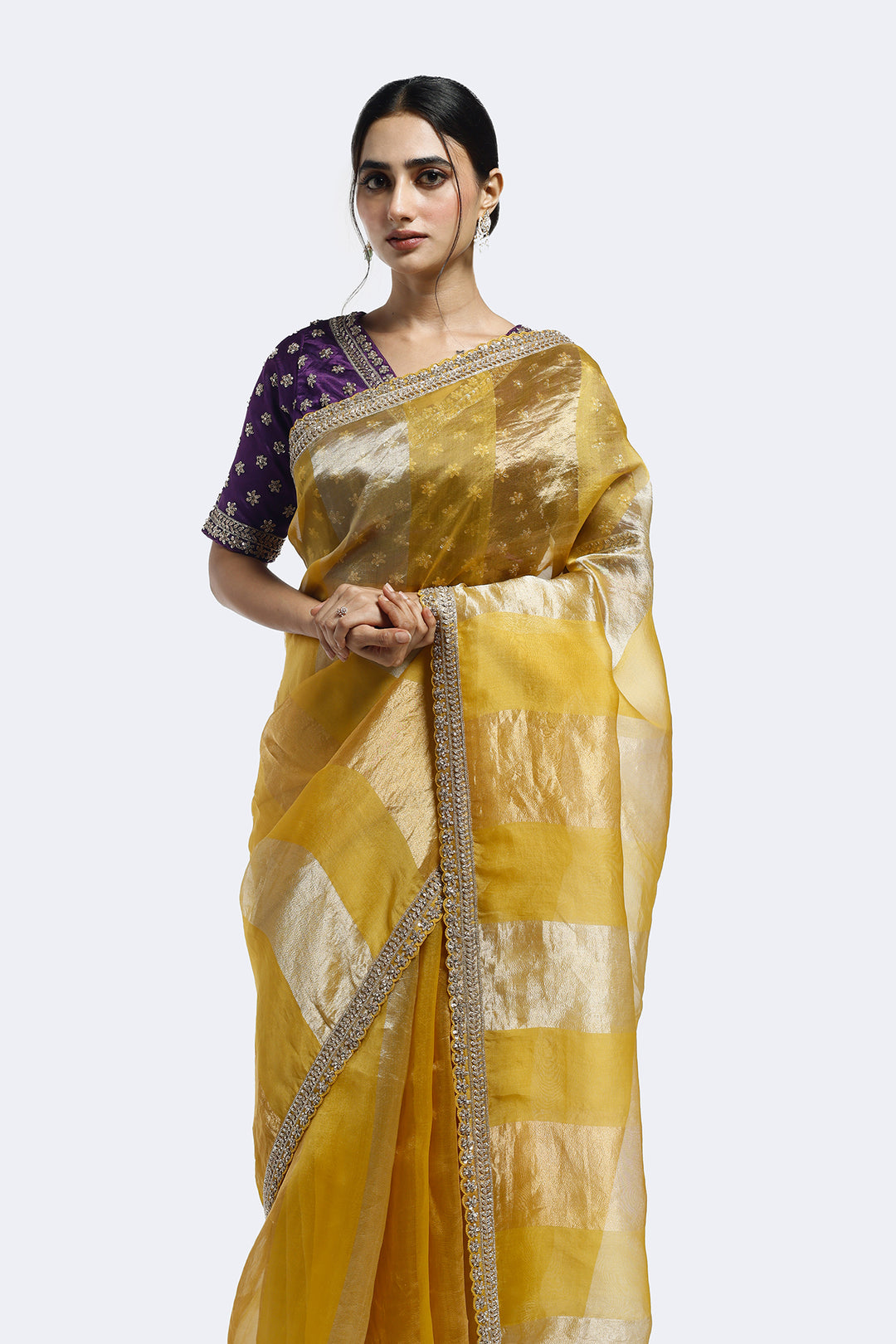 Subtly Panelled Tissue Saree