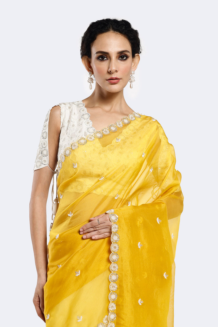 Cutout Organza Saree