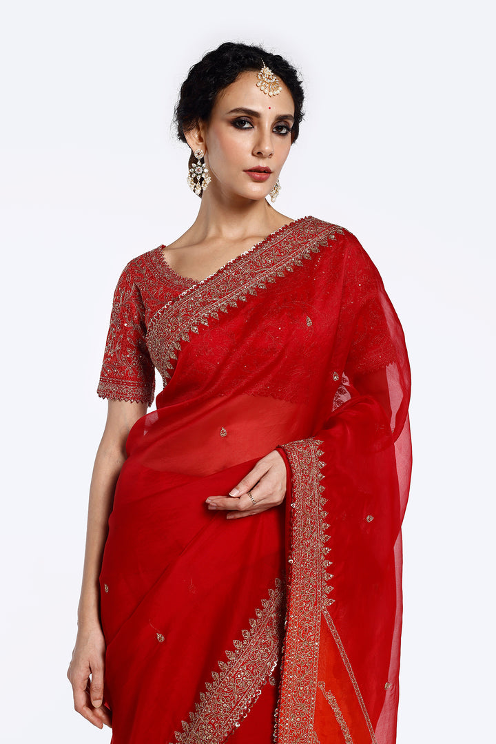 Sequinned Organza Saree