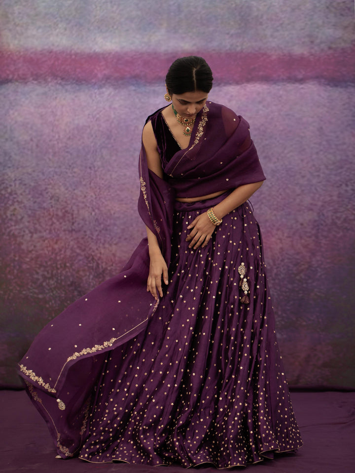 violet all over booti kalli lehenga set