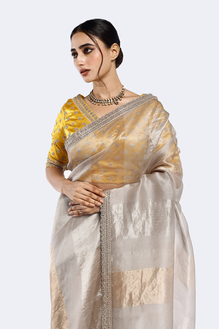 Subtly Panelled Tissue Saree